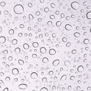 Ingredient Image