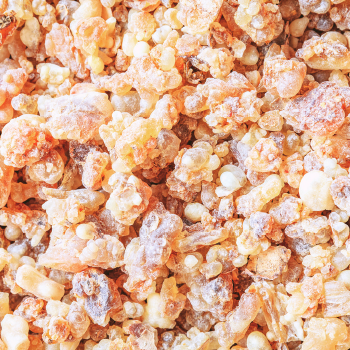 Ingredient Image